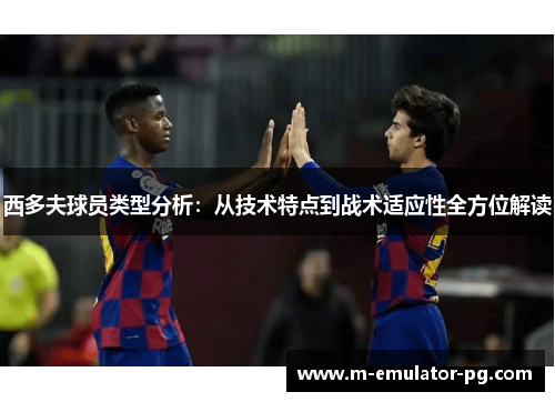 西多夫球员类型分析:从技术特点到战术适应性全方位解读 西多夫球员类型分析:从技术特点到战术适应性全方位解读