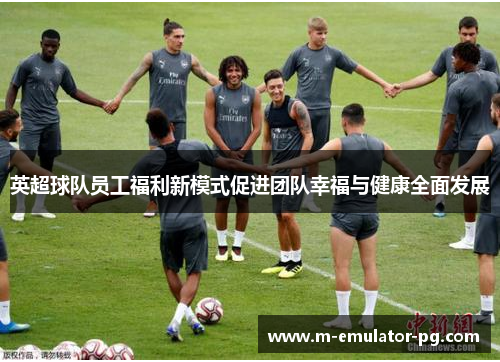 英超球队员工福利新模式促进团队幸福与健康全面发展 英超球队员工福利新模式促进团队幸福与健康全面发展