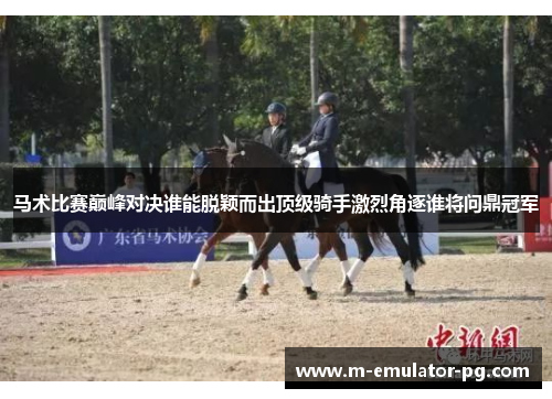 马术比赛巅峰对决谁能脱颖而出顶级骑手激烈角逐谁将问鼎冠军