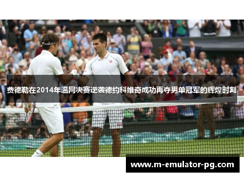 费德勒在2014年温网决赛逆袭德约科维奇成功再夺男单冠军的辉煌时刻